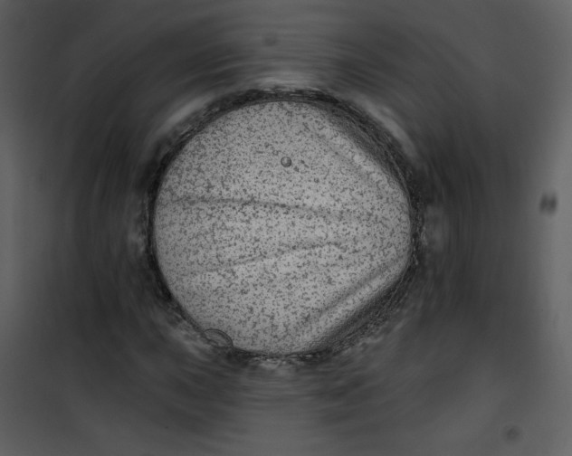 X0000101151015200807181329