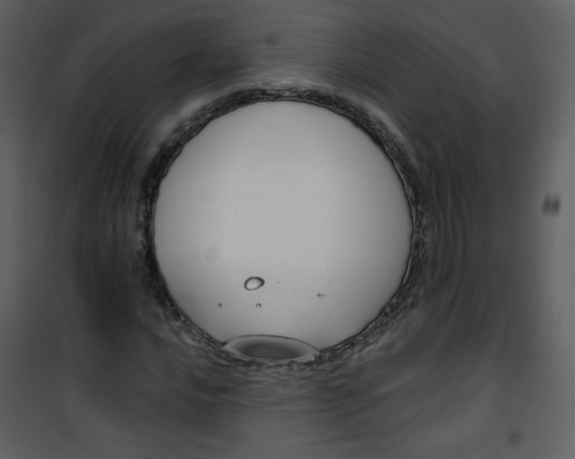 X0000101151016200807181329