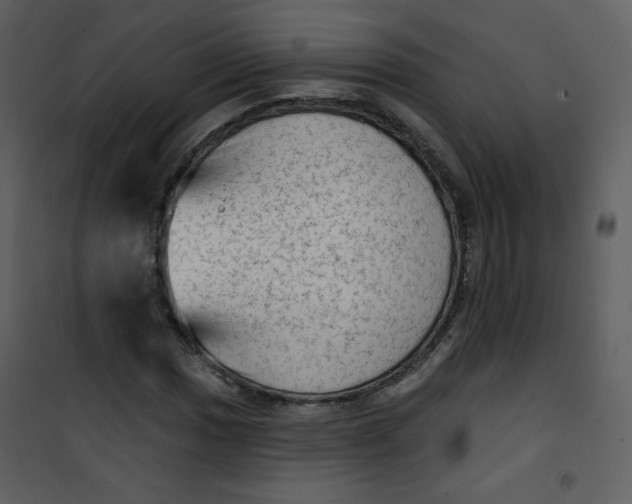 X0000101151017200807181329