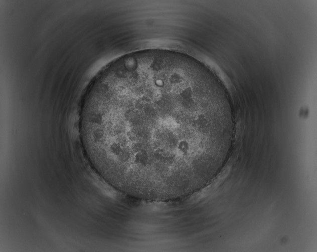 X0000101151019200807181329