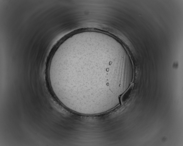 X0000101151020200807181329