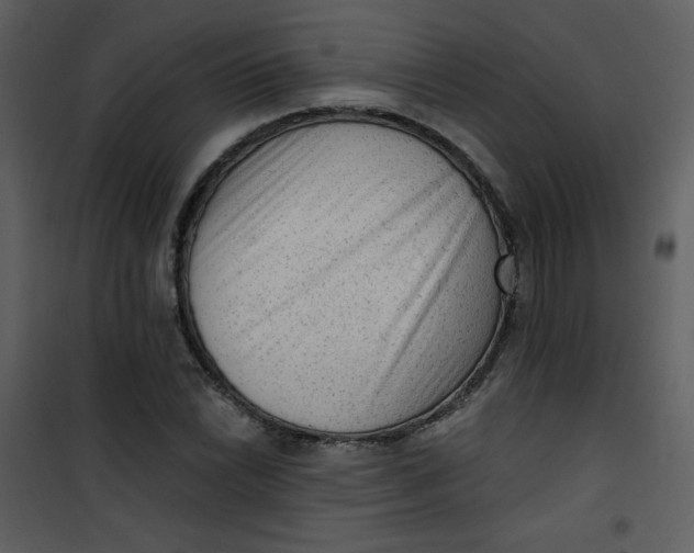 X0000101151022200807181329