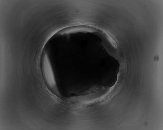 X0000101151023200807181329