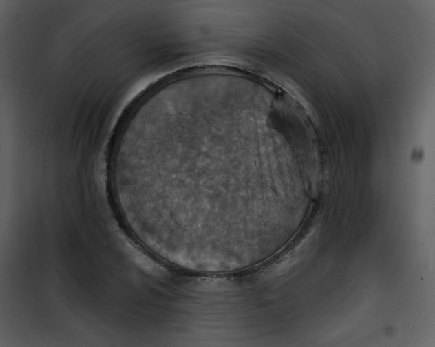 X0000101151024200807181329