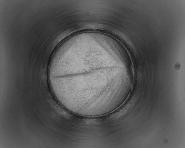 X0000101151025200807181329