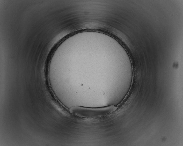 X0000101151026200807181329