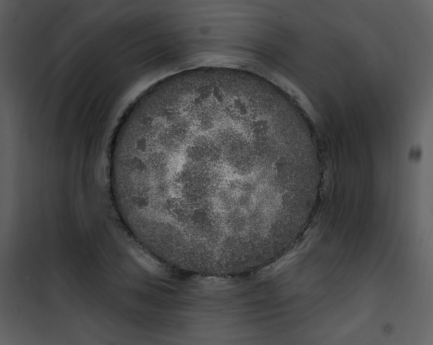 X0000101151027200807181329