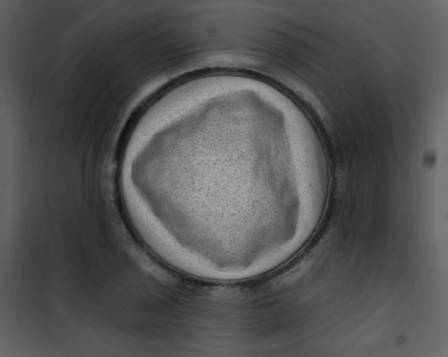 X0000101151029200807181329