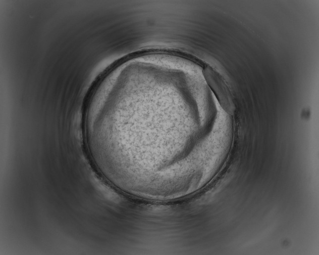 X0000101151030200807181329