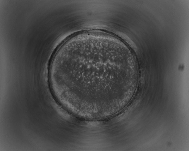 X0000101151031200807181329