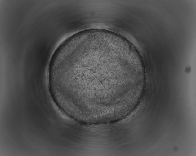 X0000101151032200807181329