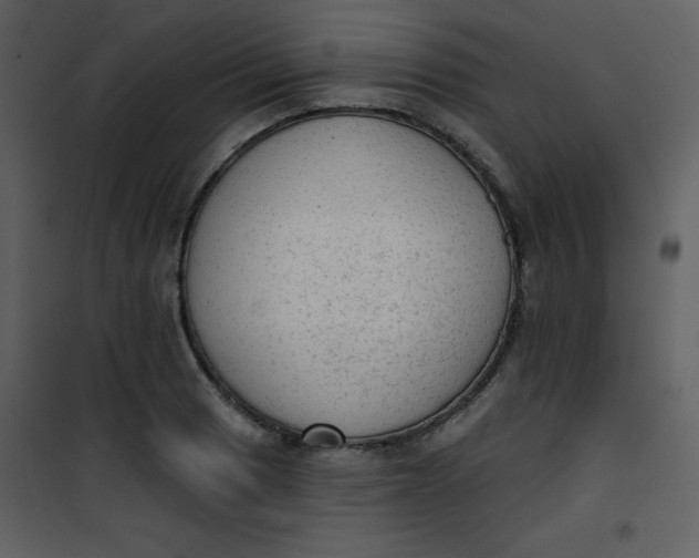 X0000101151033200807181329