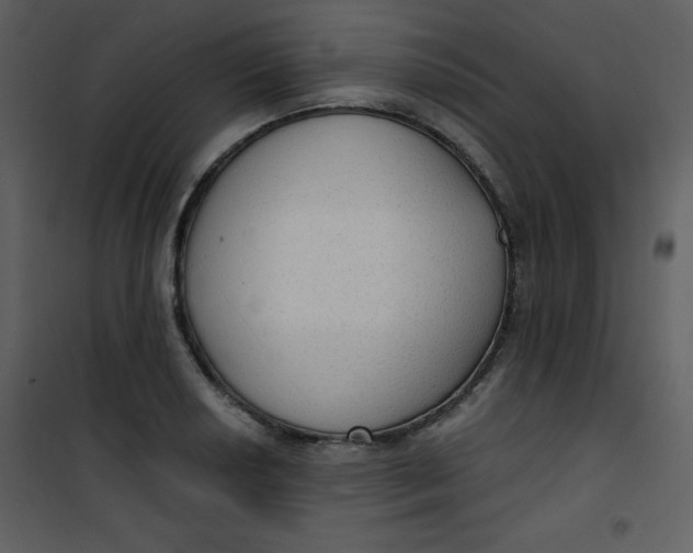 X0000101151034200807181329