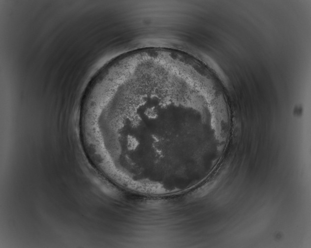 X0000101151035200807181329