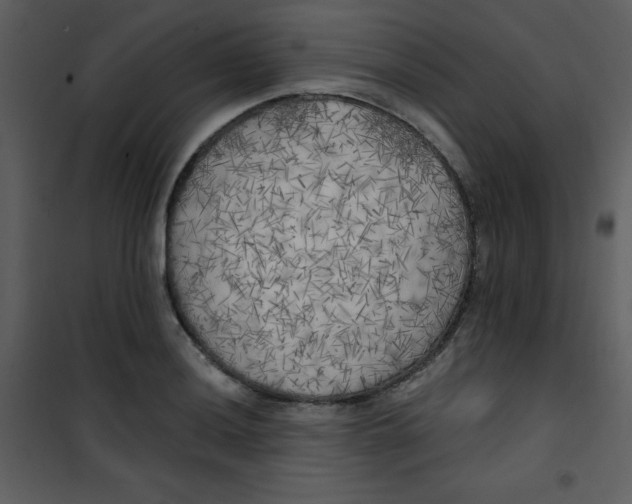 X0000101151036200807181329