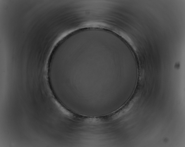 X0000101151037200807181329