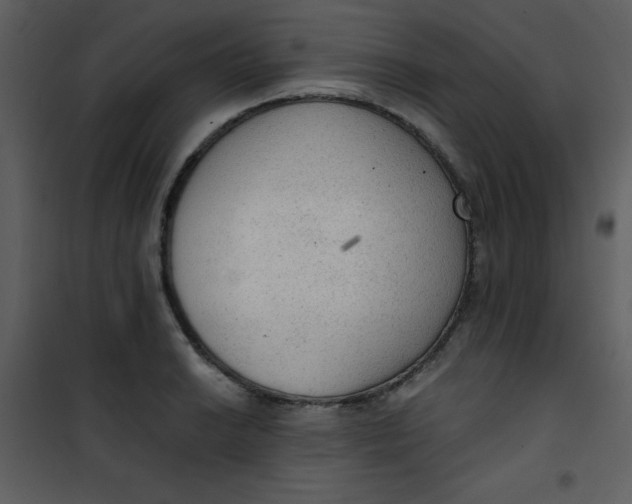 X0000101151038200807181329