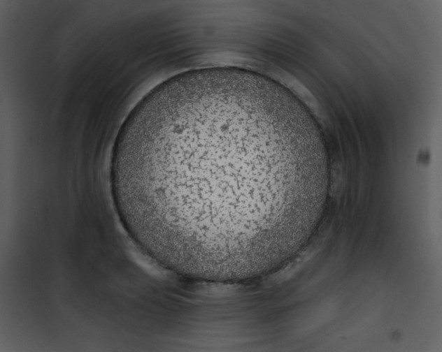 X0000101151039200807181329