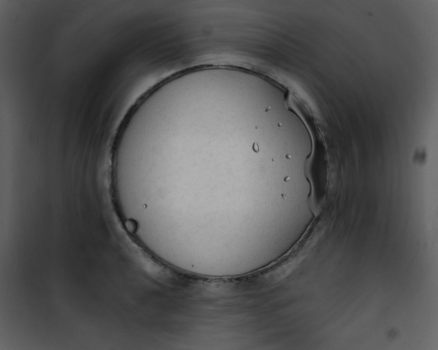 X0000101151040200807181329