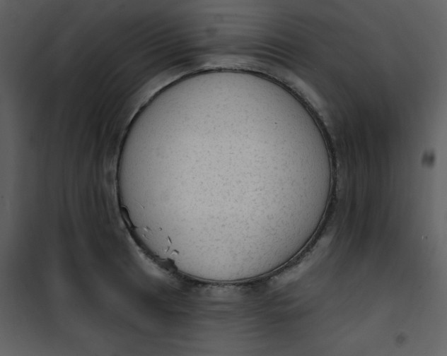 X0000101151041200807181329