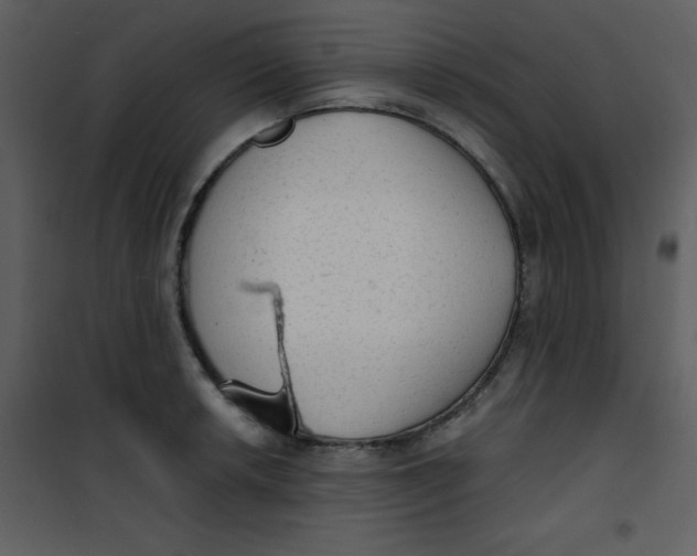 X0000101151042200807181329