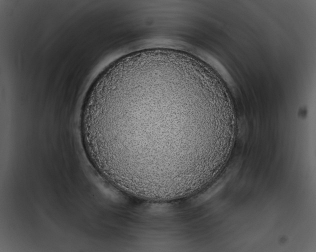 X0000101151043200807181329