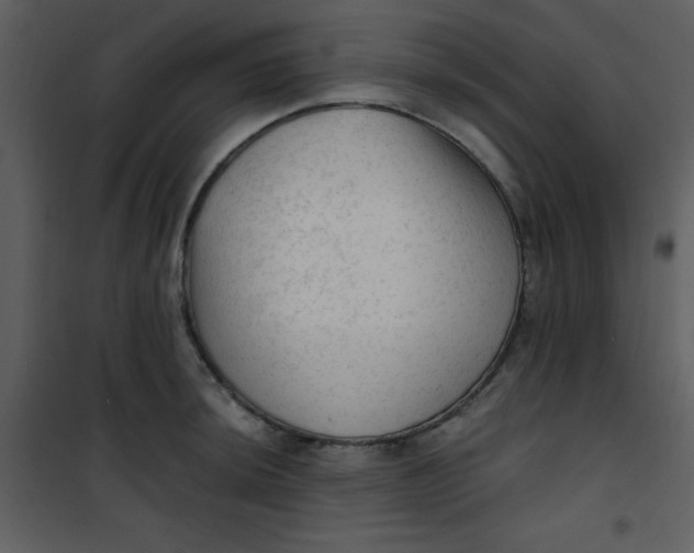 X0000101151044200807181329