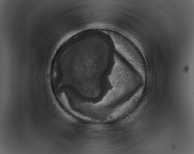 X0000101151045200807181329