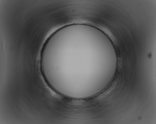 X0000101151046200807181329