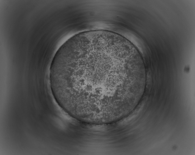 X0000101151047200807181329