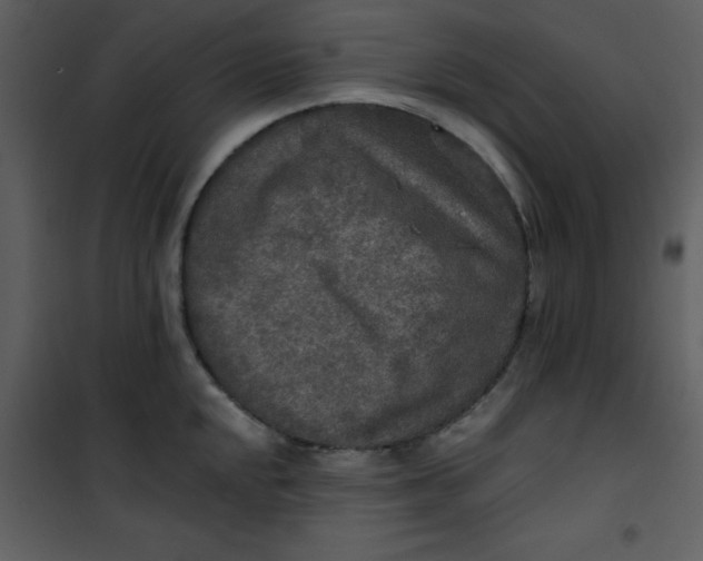 X0000101151048200807181329