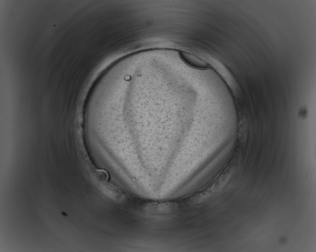 X0000101151051200807181329