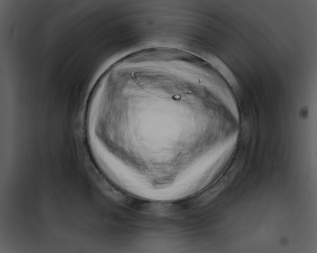 X0000101151052200807181329