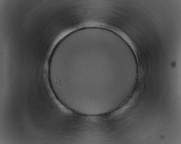 X0000101151053200807181329