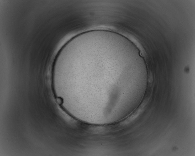 X0000101151054200807181329