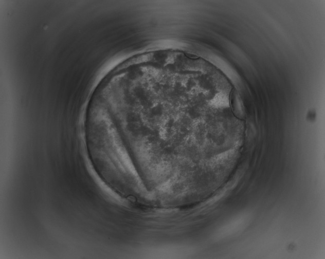 X0000101151055200807181329