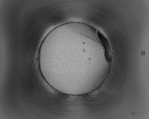 X0000101151056200807181329