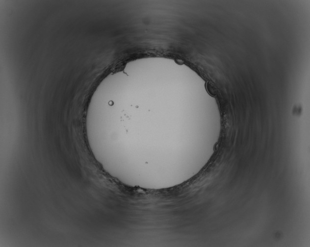 X0000101151057200807181328