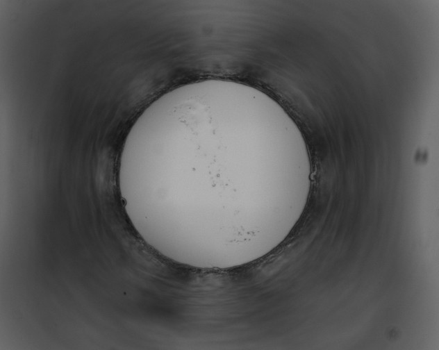 X0000101151058200807181328