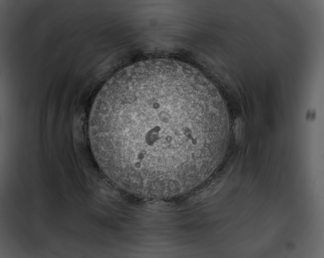 X0000101151059200807181328