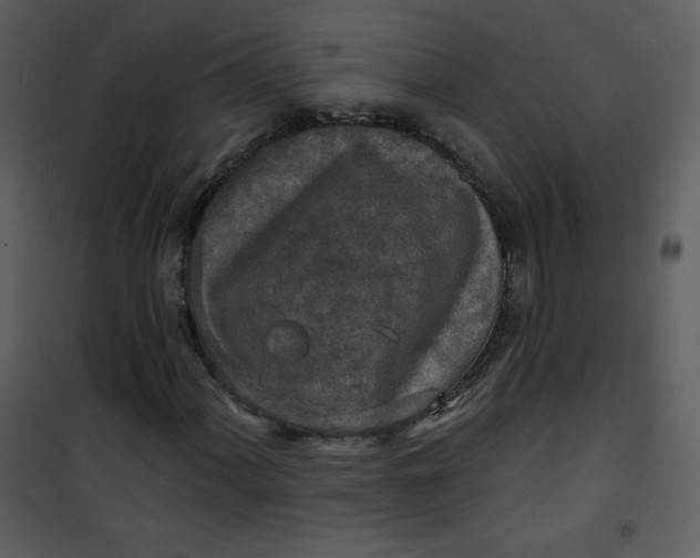 X0000101151060200807181328