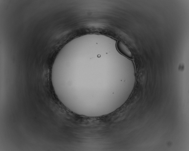 X0000101151061200807181328