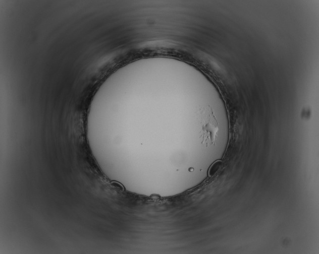 X0000101151062200807181328