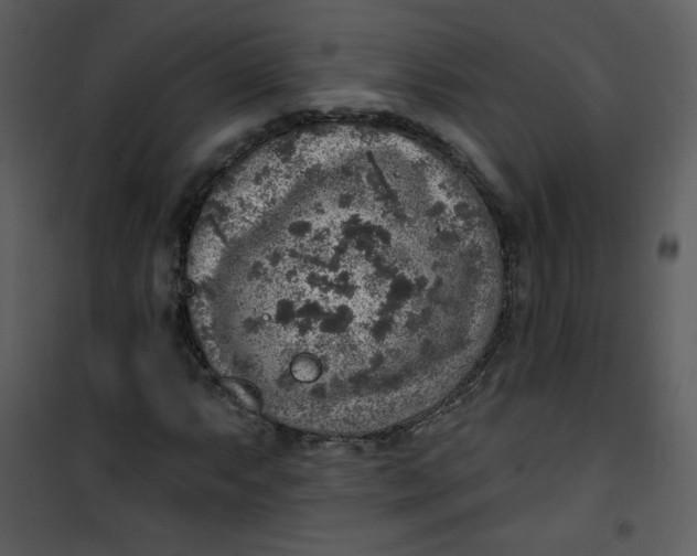 X0000101151063200807181328