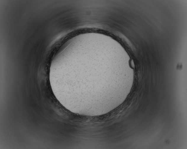 X0000101151064200807181328