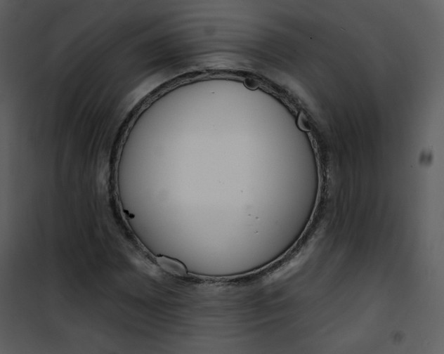 X0000101151065200807181328