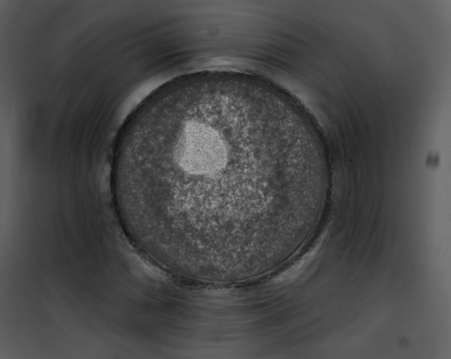 X0000101151066200807181328