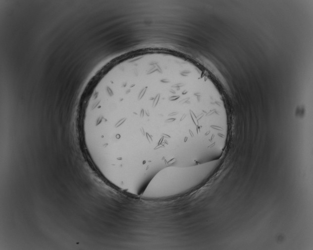 X0000101151068200807181328