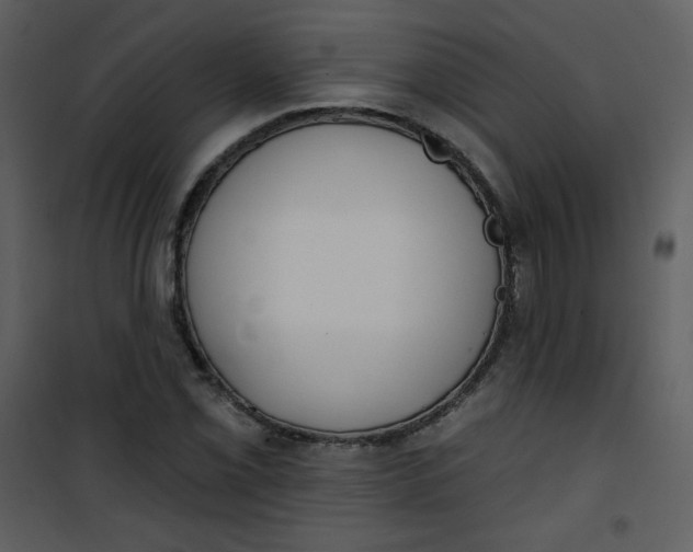 X0000101151069200807181328