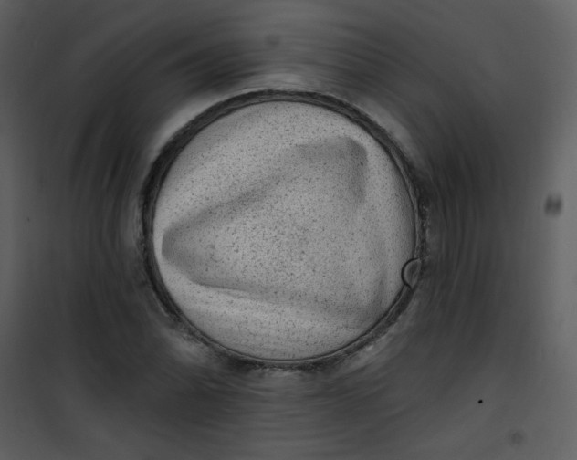 X0000101151070200807181328